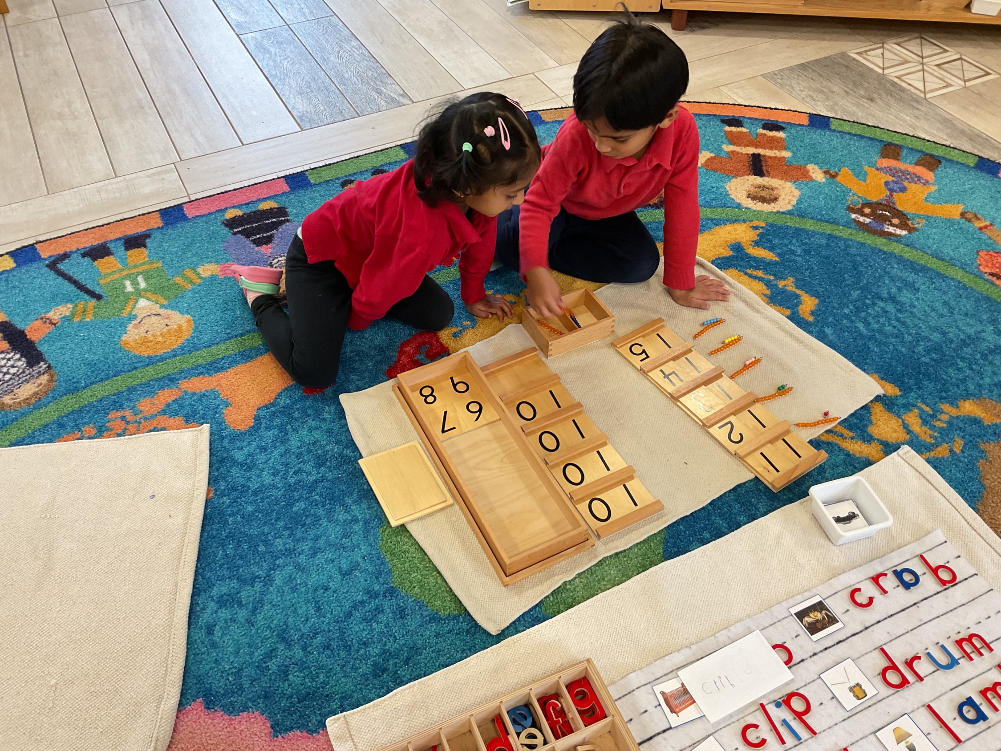 Primary Program
